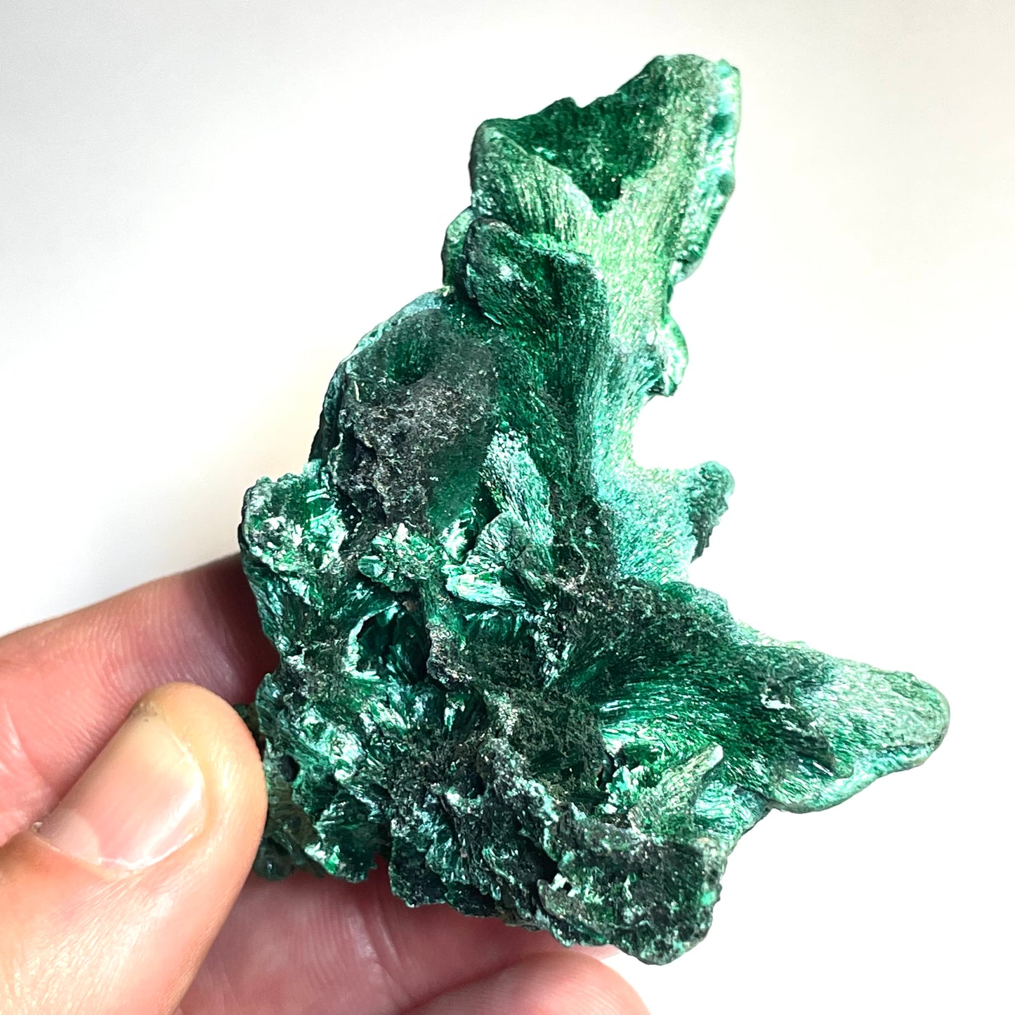 Malachite fibreuse, Congo