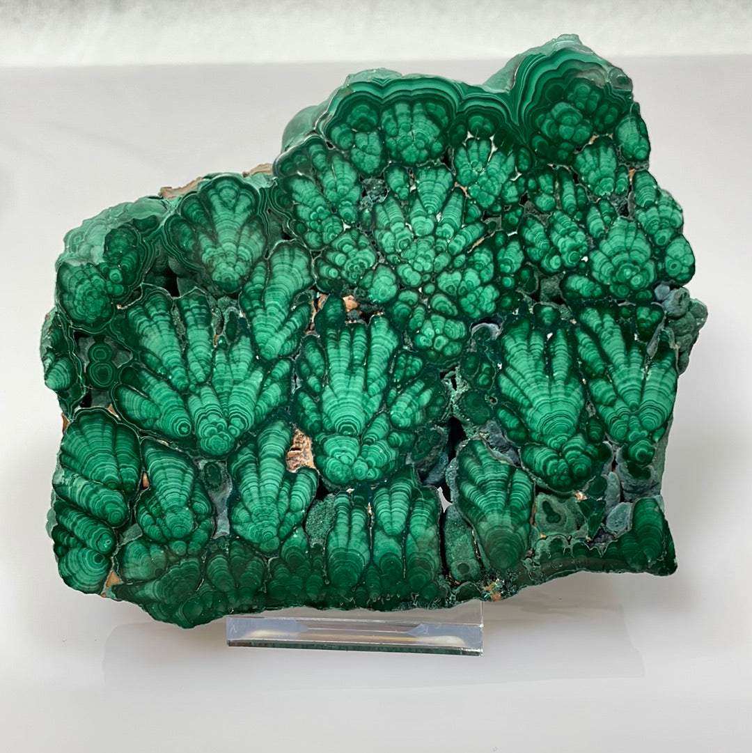 Malachite, Katanga, Rép. Dém. du Congo
