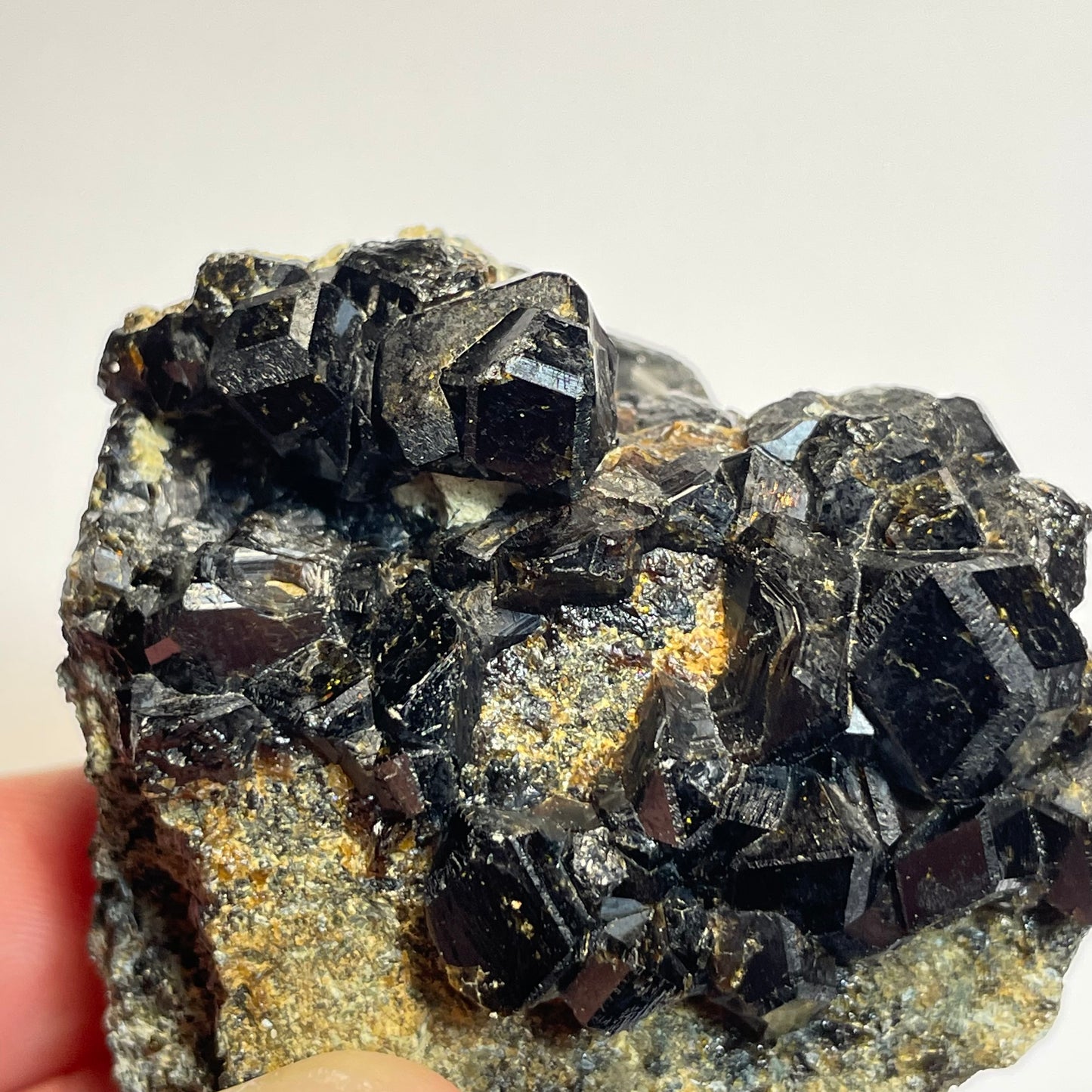 Grenat sur Pargasite, région de Kayes, Mali