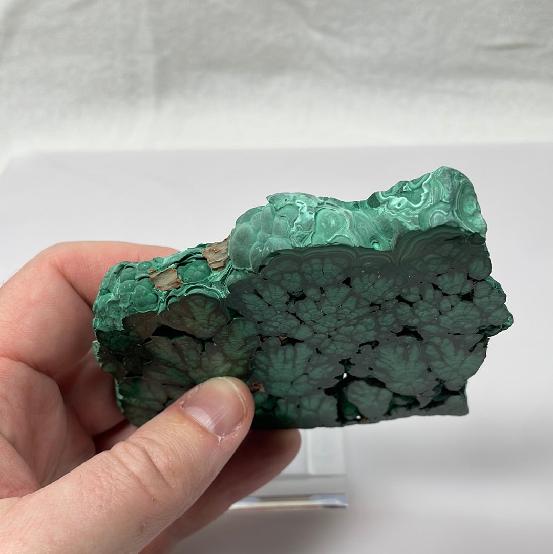 Malachite, Katanga, Rép. Dém. du Congo