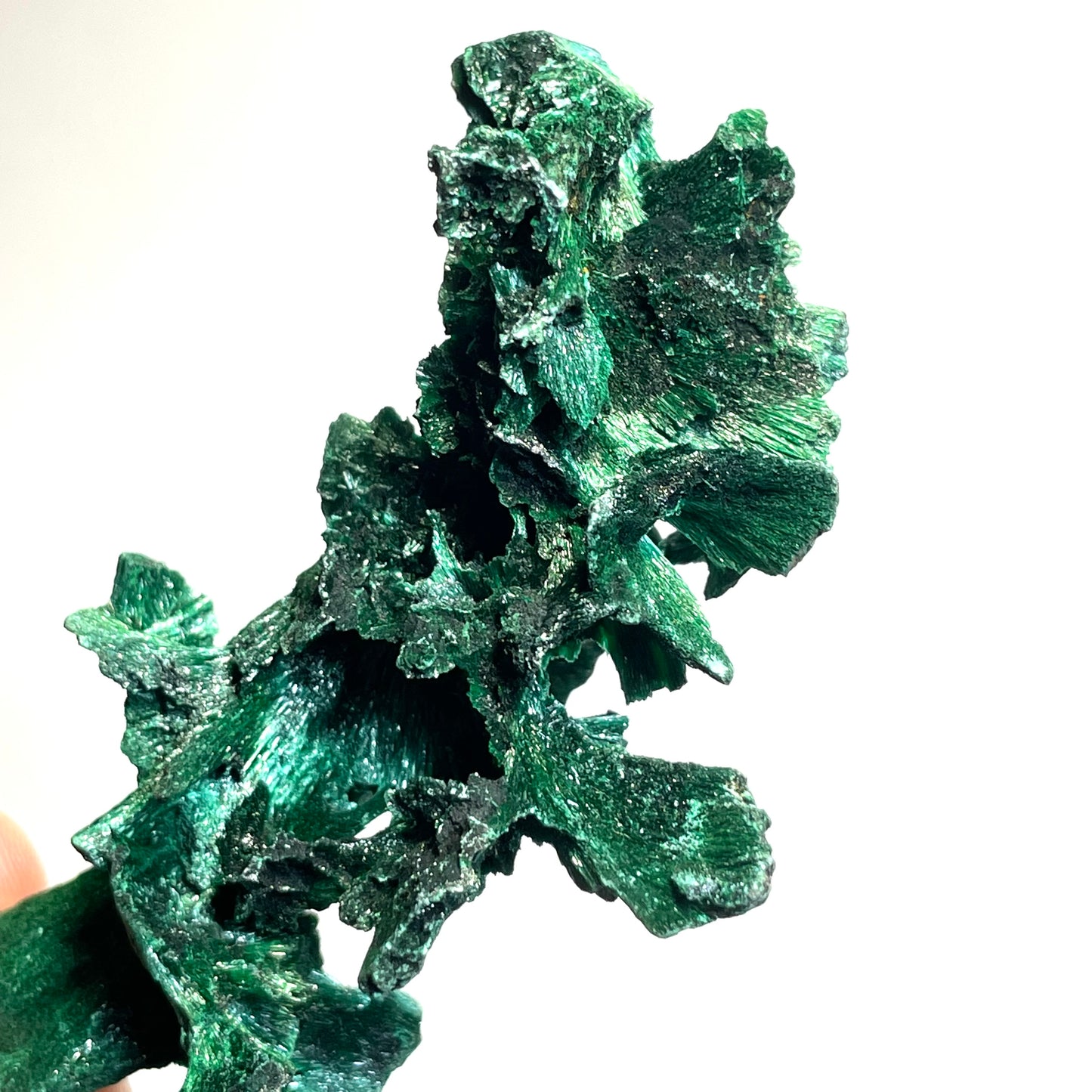 Malachite fibreuse, Congo