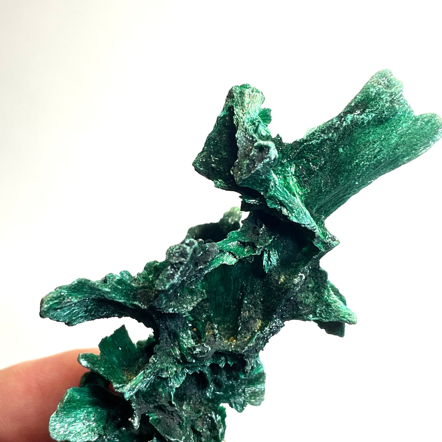 Malachite fibreuse, Congo