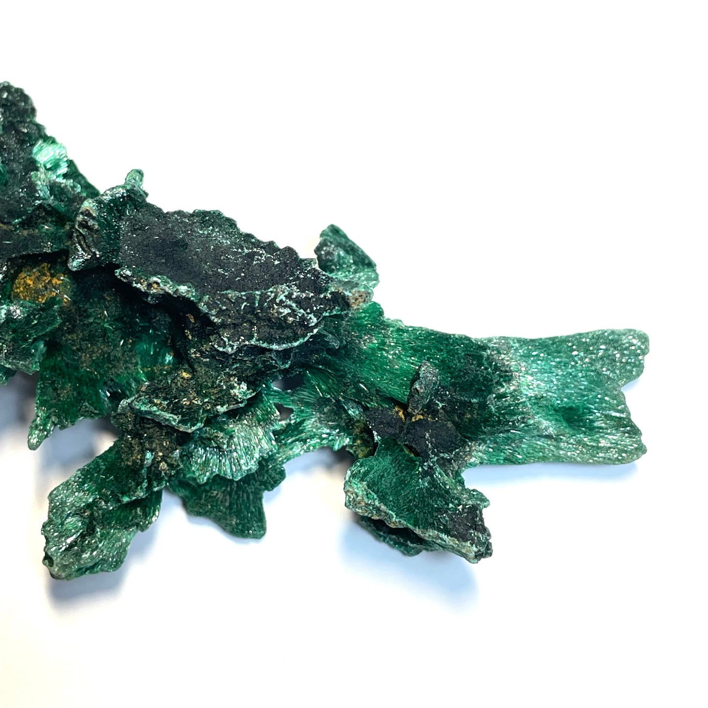 Malachite fibreuse, Congo