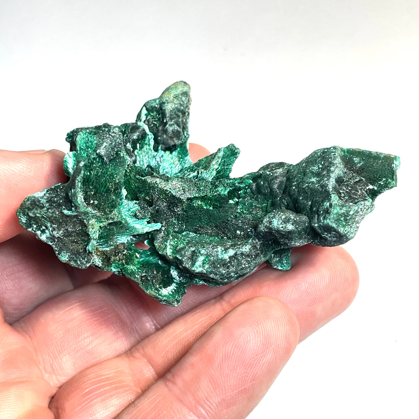 Malachite fibreuse, Congo