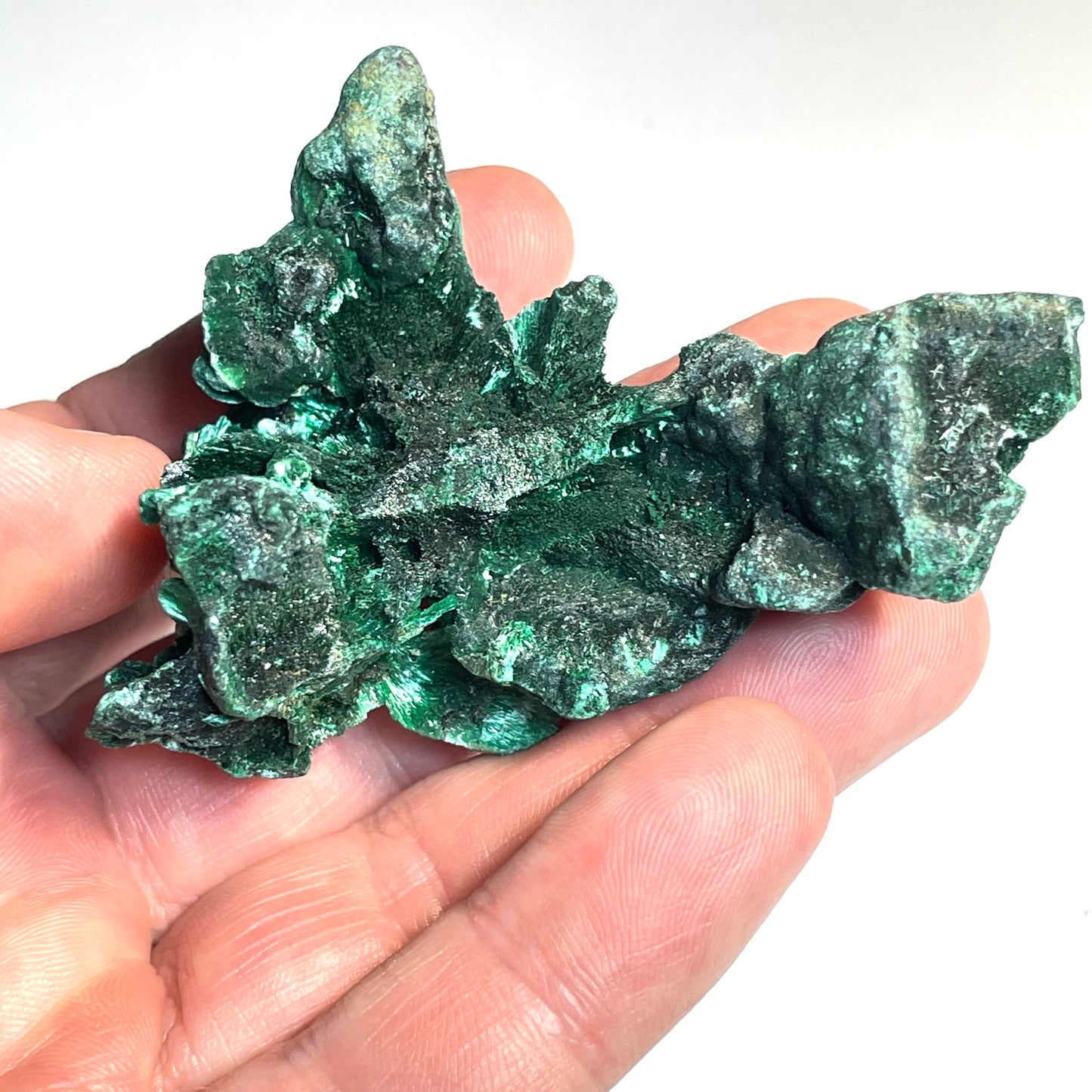 Malachite fibreuse, Congo