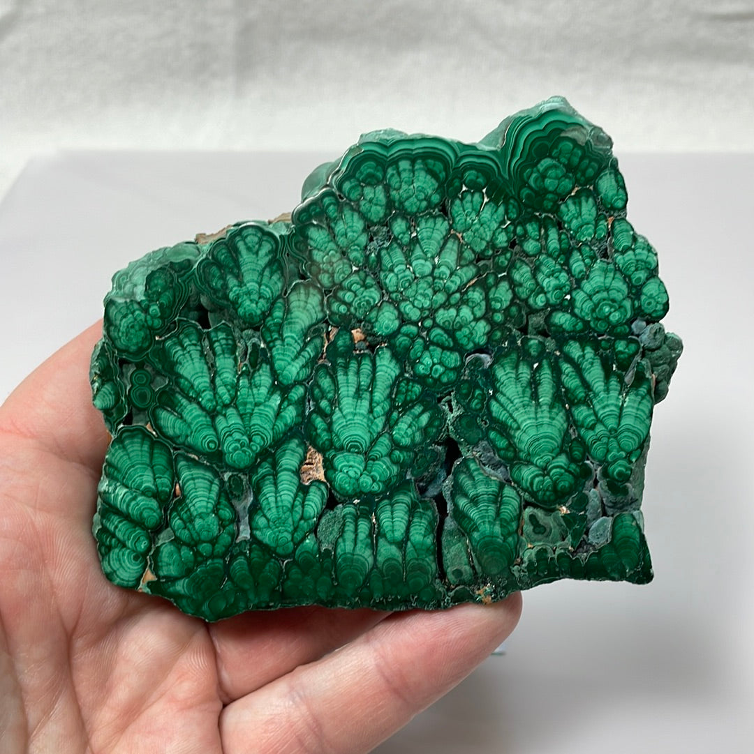 Malachite, Katanga, Rép. Dém. du Congo