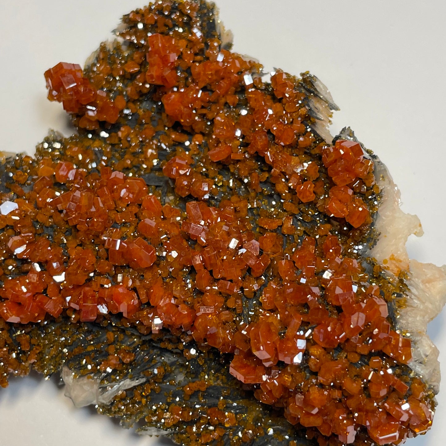 Vanadinite sur Barytine et Hématite, Mibladen, région de Midelt, Maroc