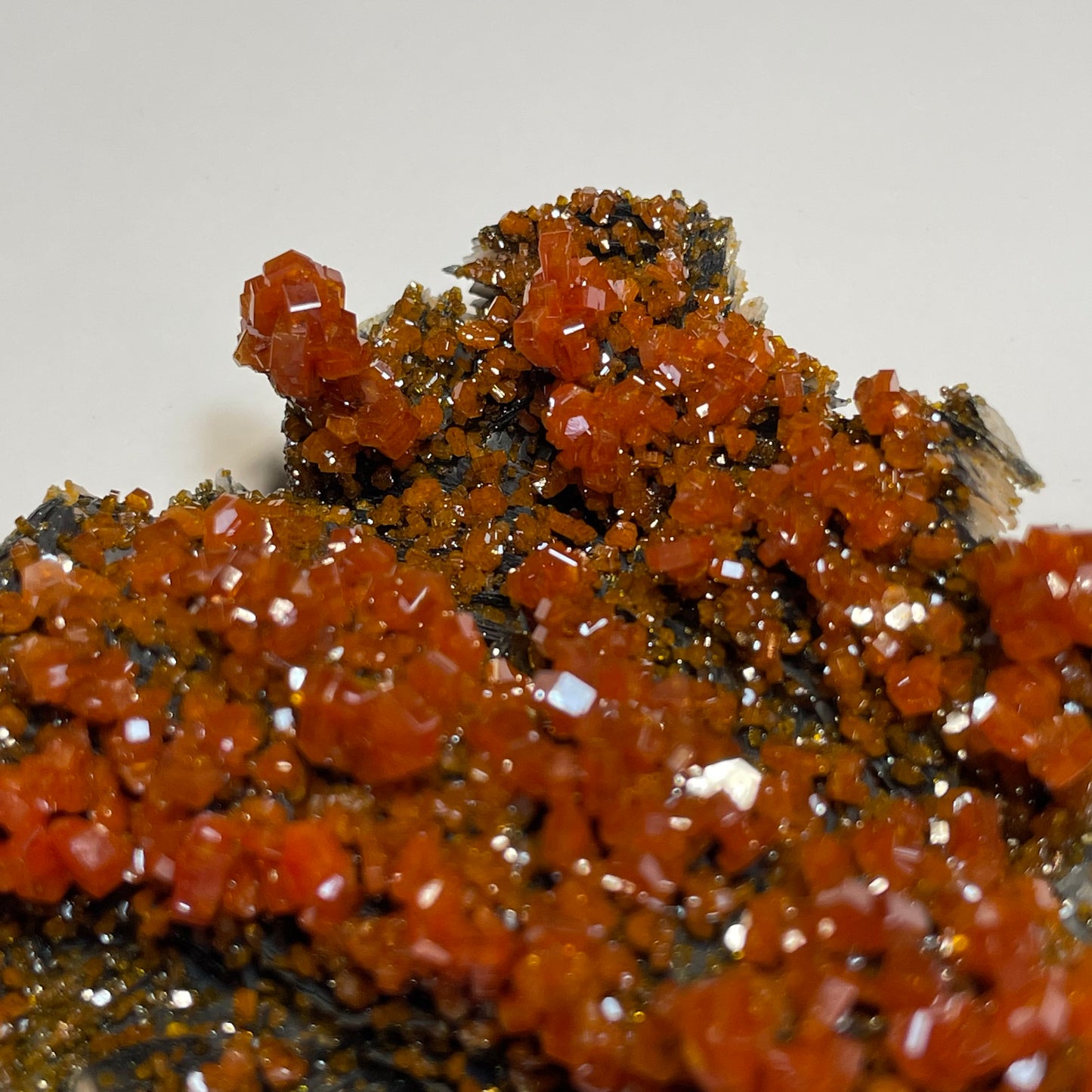Vanadinite sur Barytine et Hématite, Mibladen, région de Midelt, Maroc