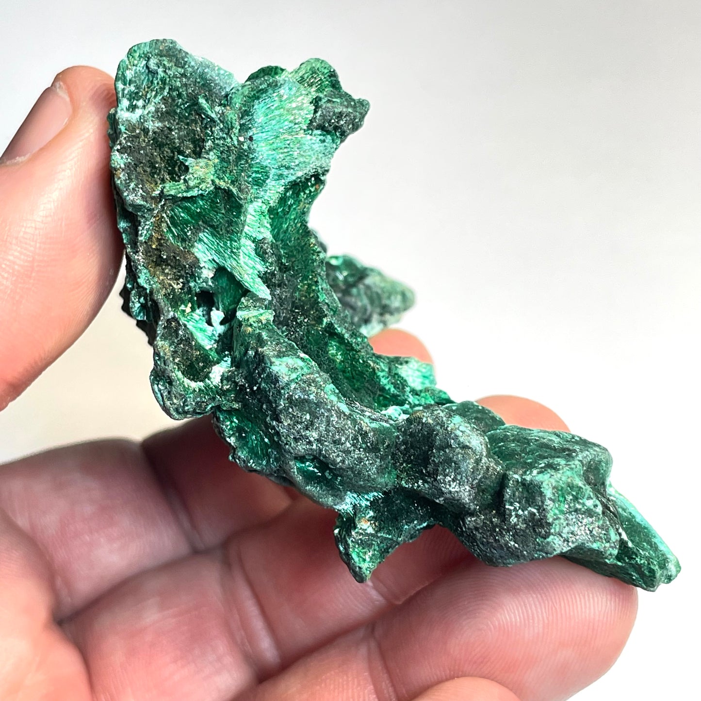 Malachite fibreuse, Congo