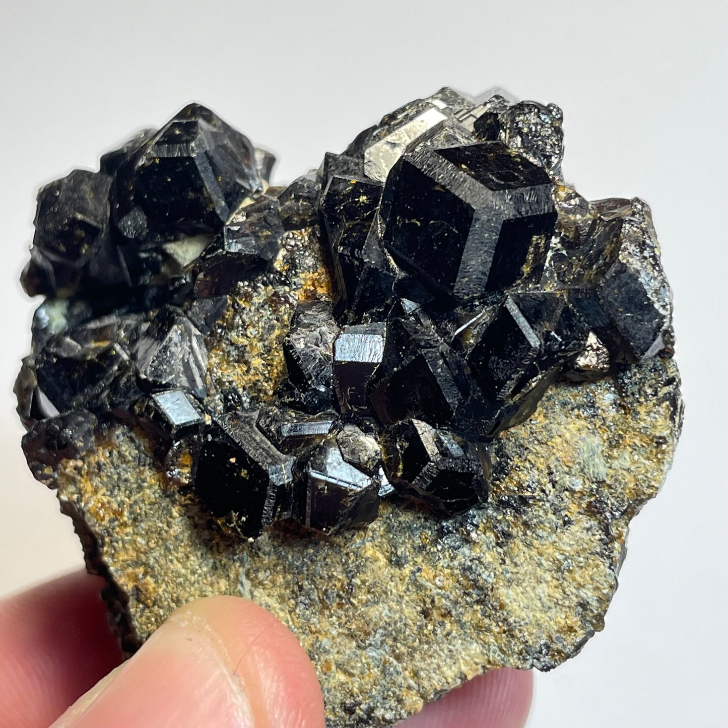 Grenat sur Pargasite, région de Kayes, Mali