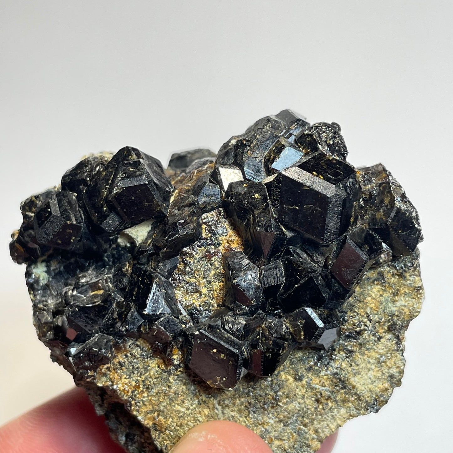 Grenat sur Pargasite, région de Kayes, Mali