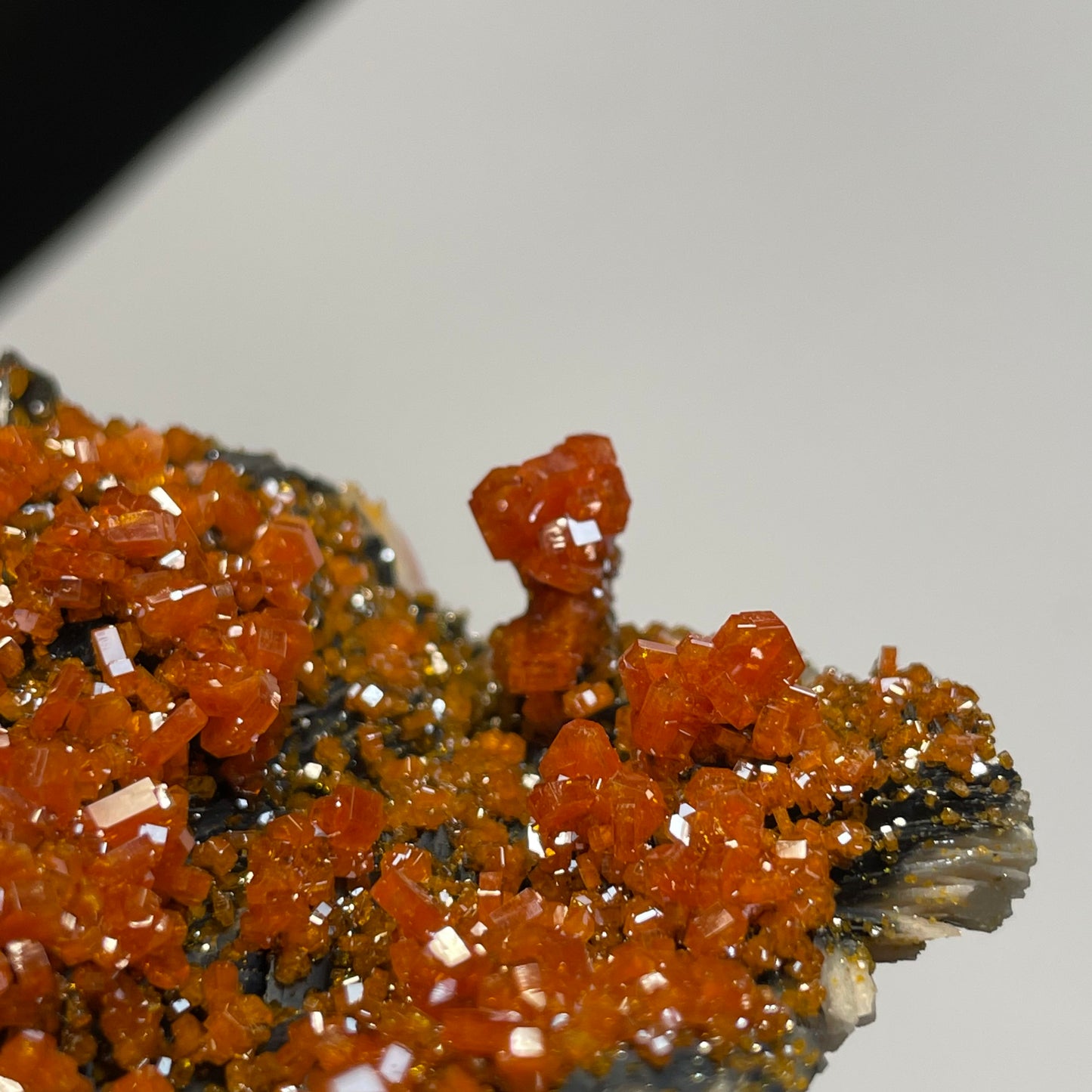 Vanadinite sur Barytine et Hématite, Mibladen, région de Midelt, Maroc