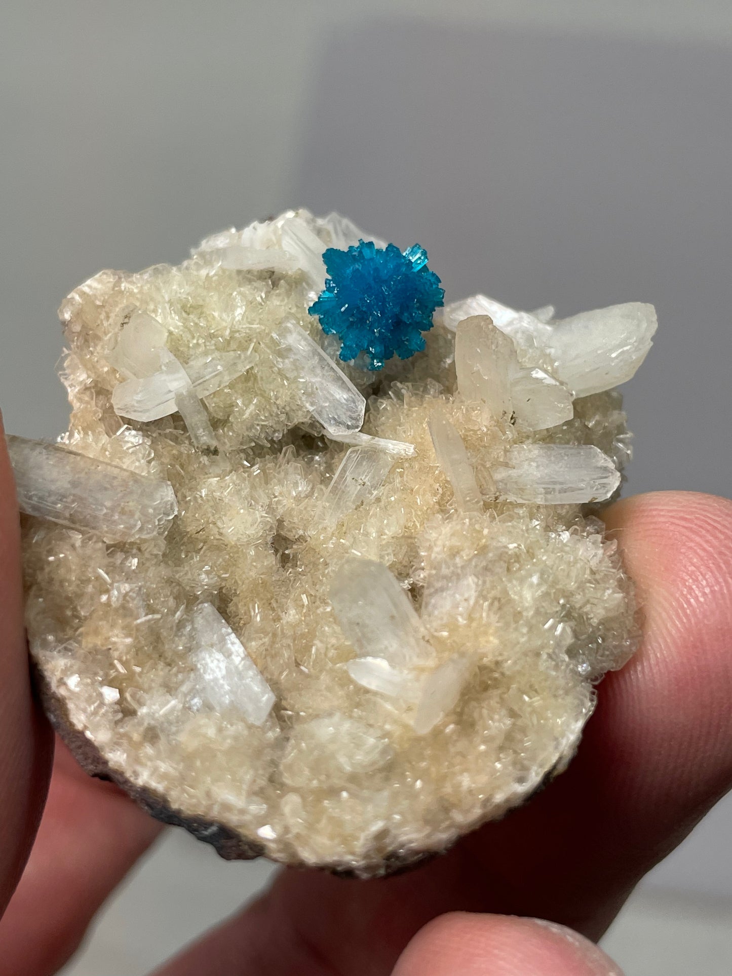 Cavansite, Wagholi, région du Maharashstra, Inde