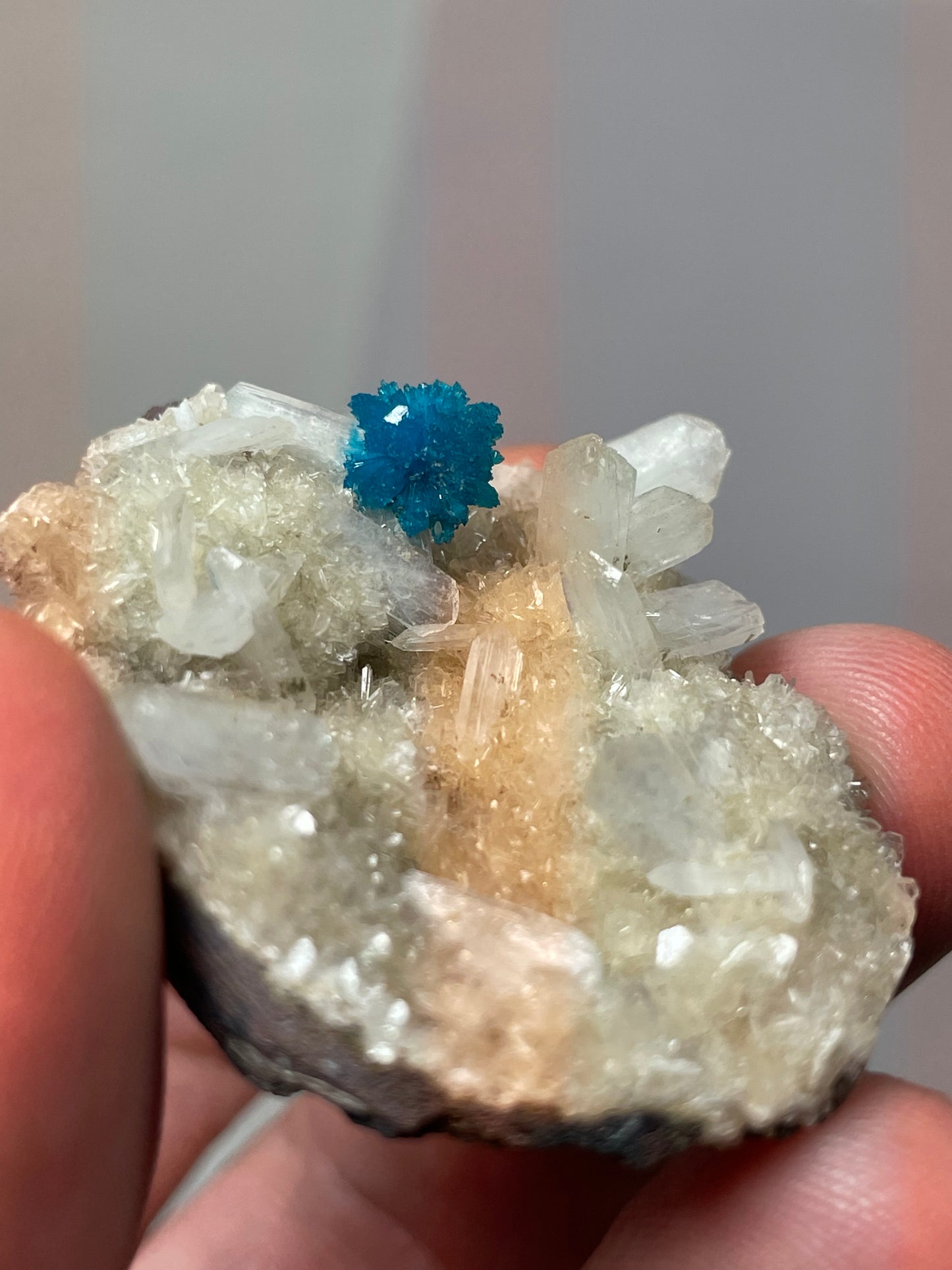Cavansite, Wagholi, région du Maharashstra, Inde