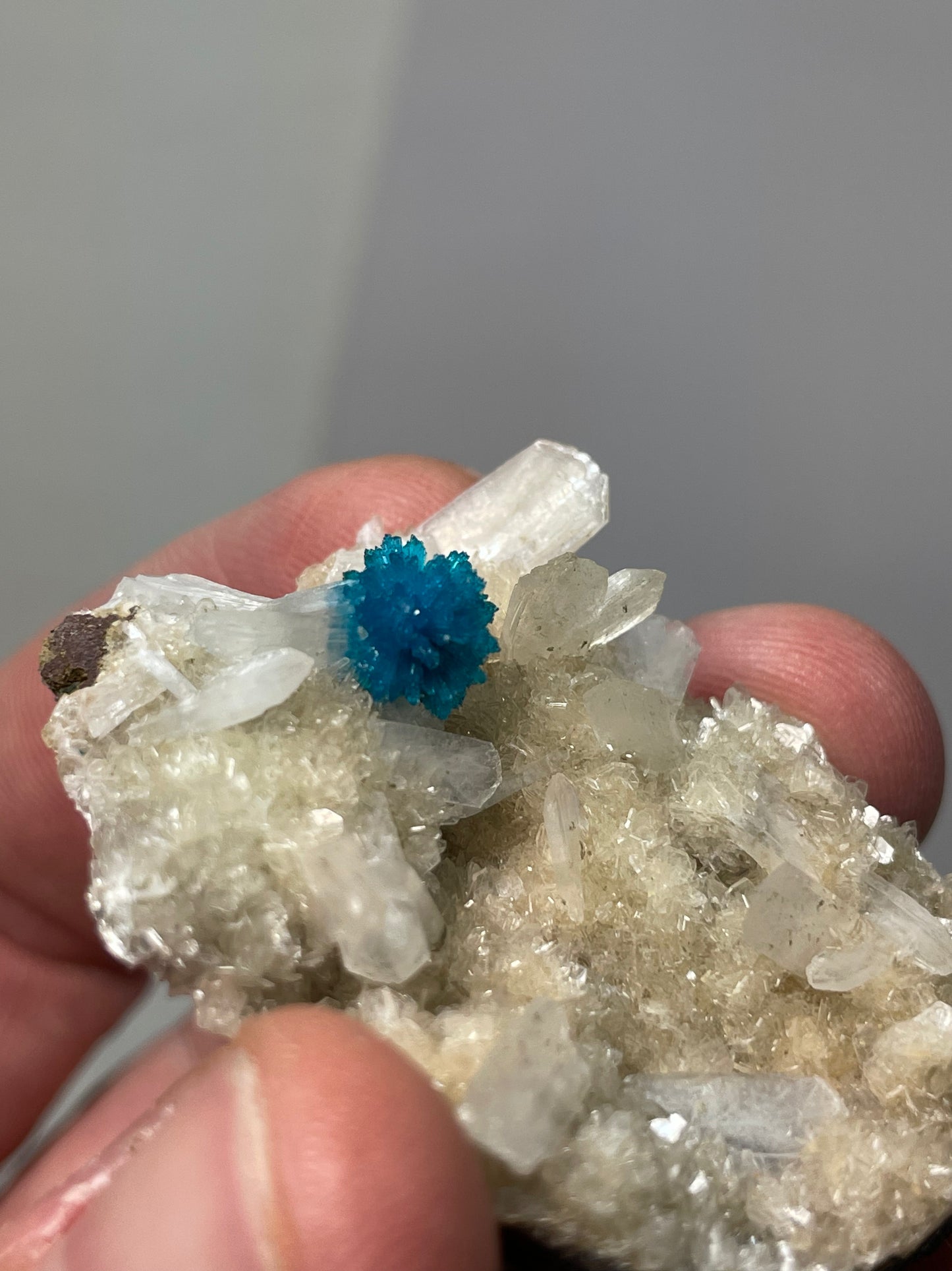 Cavansite, Wagholi, région du Maharashstra, Inde