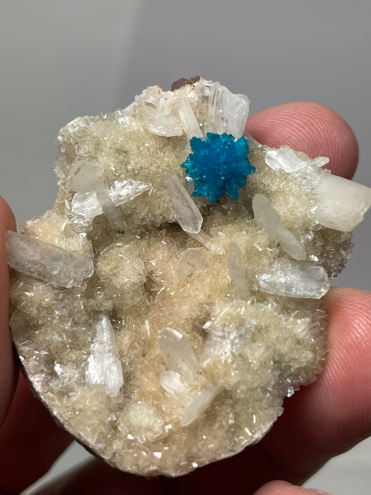 Cavansite, Wagholi, région du Maharashstra, Inde