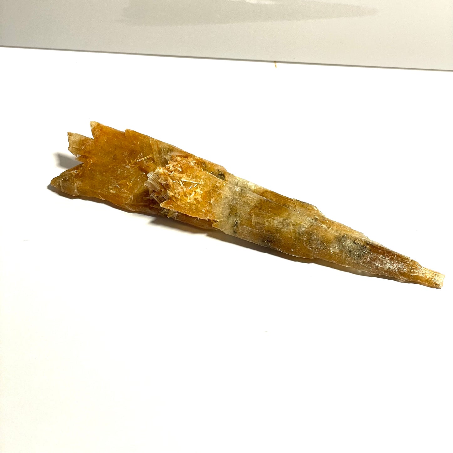 Gypse brun, Bolton, Australie