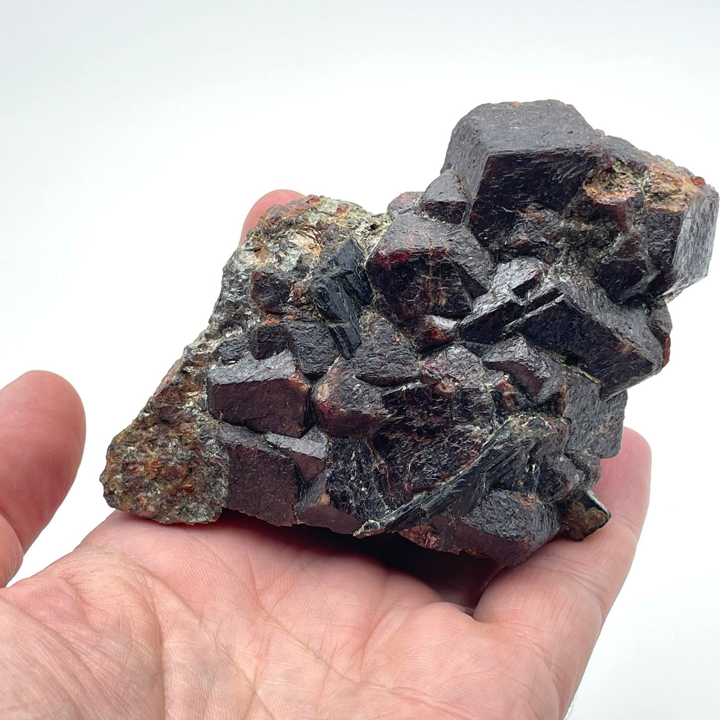 Grenat Almandin, Ötztal, Tyrol, Autriche