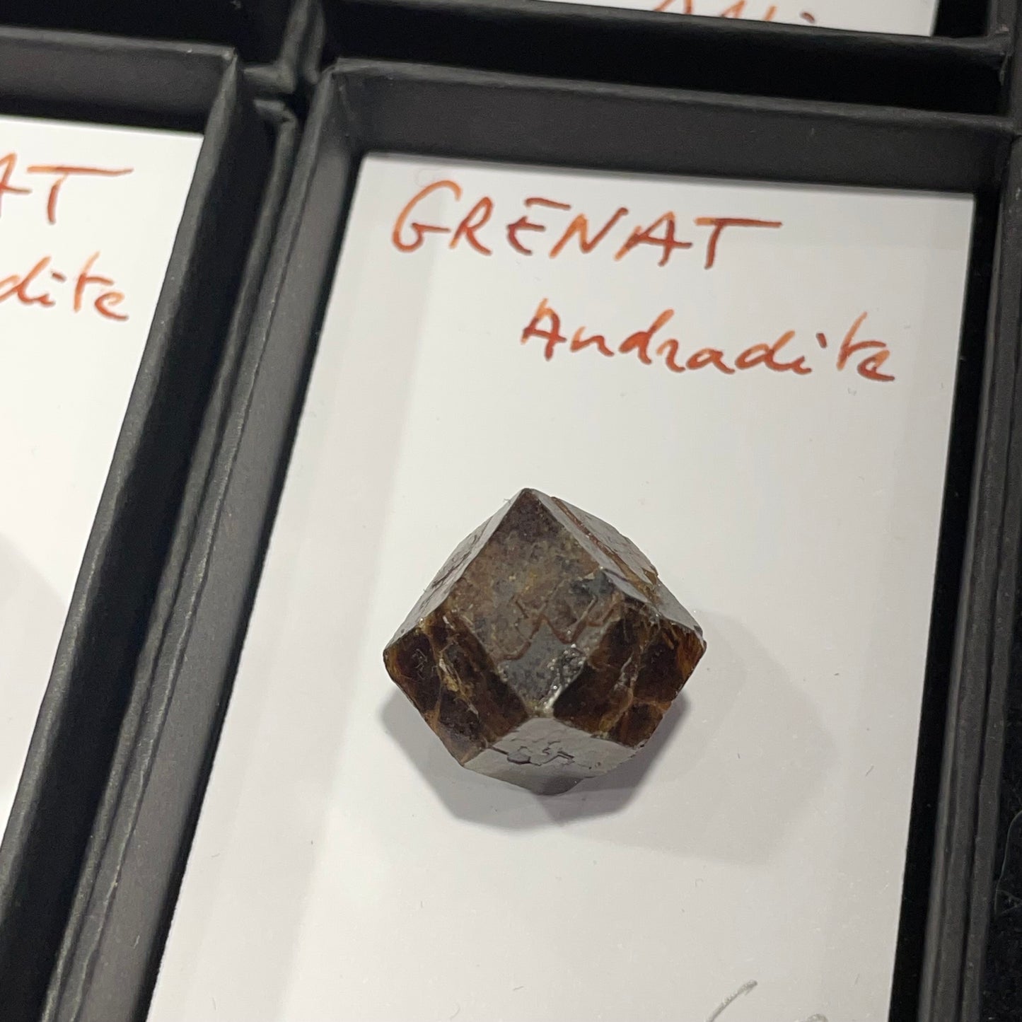 Grenat andradite du Mali
