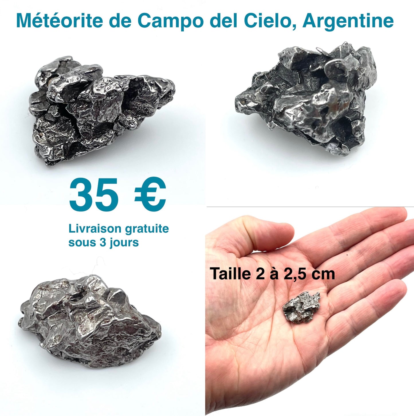Météorite de Campo del Cielo, Argentine
