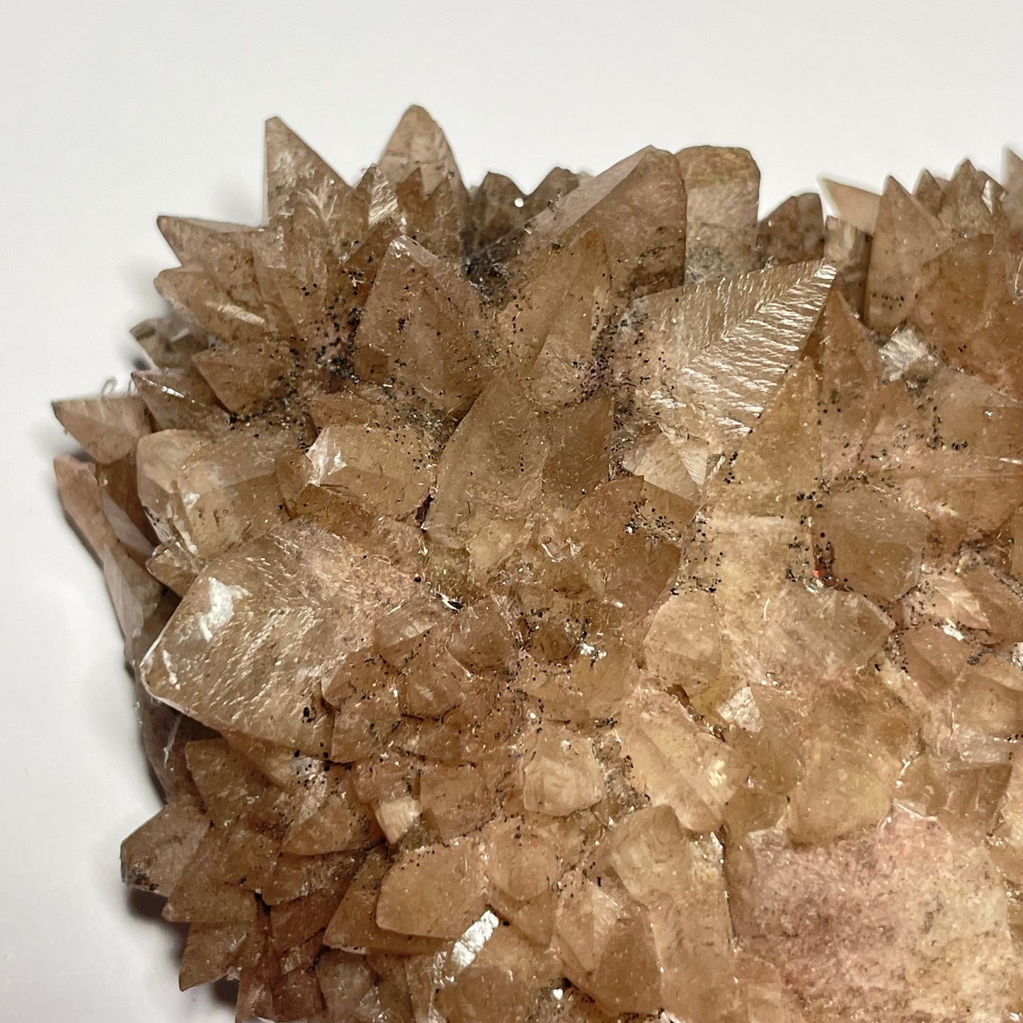 Calcite « dent de chien », Santa Eulalia, Chihuahua, Mexique