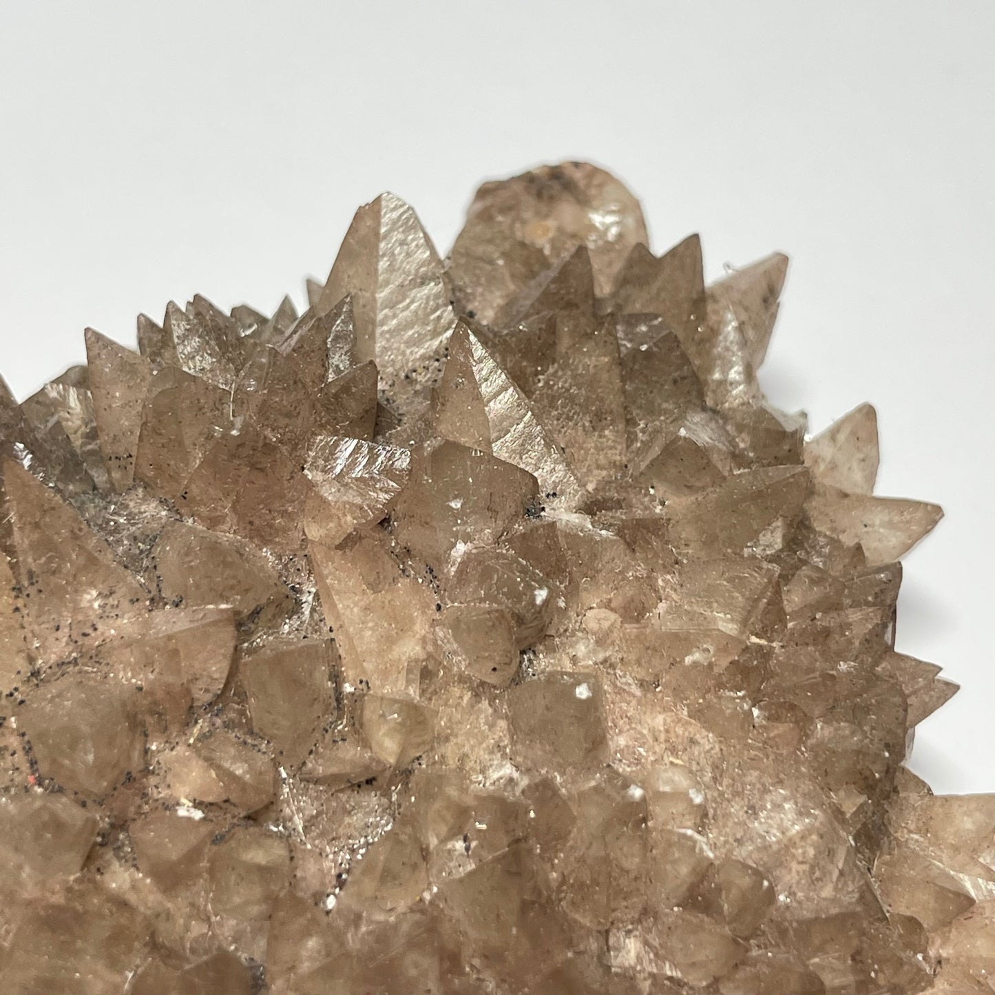 Calcite « dent de chien », Santa Eulalia, Chihuahua, Mexique