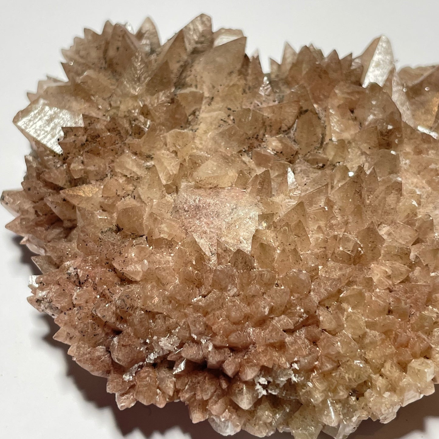 Calcite « dent de chien », Santa Eulalia, Chihuahua, Mexique