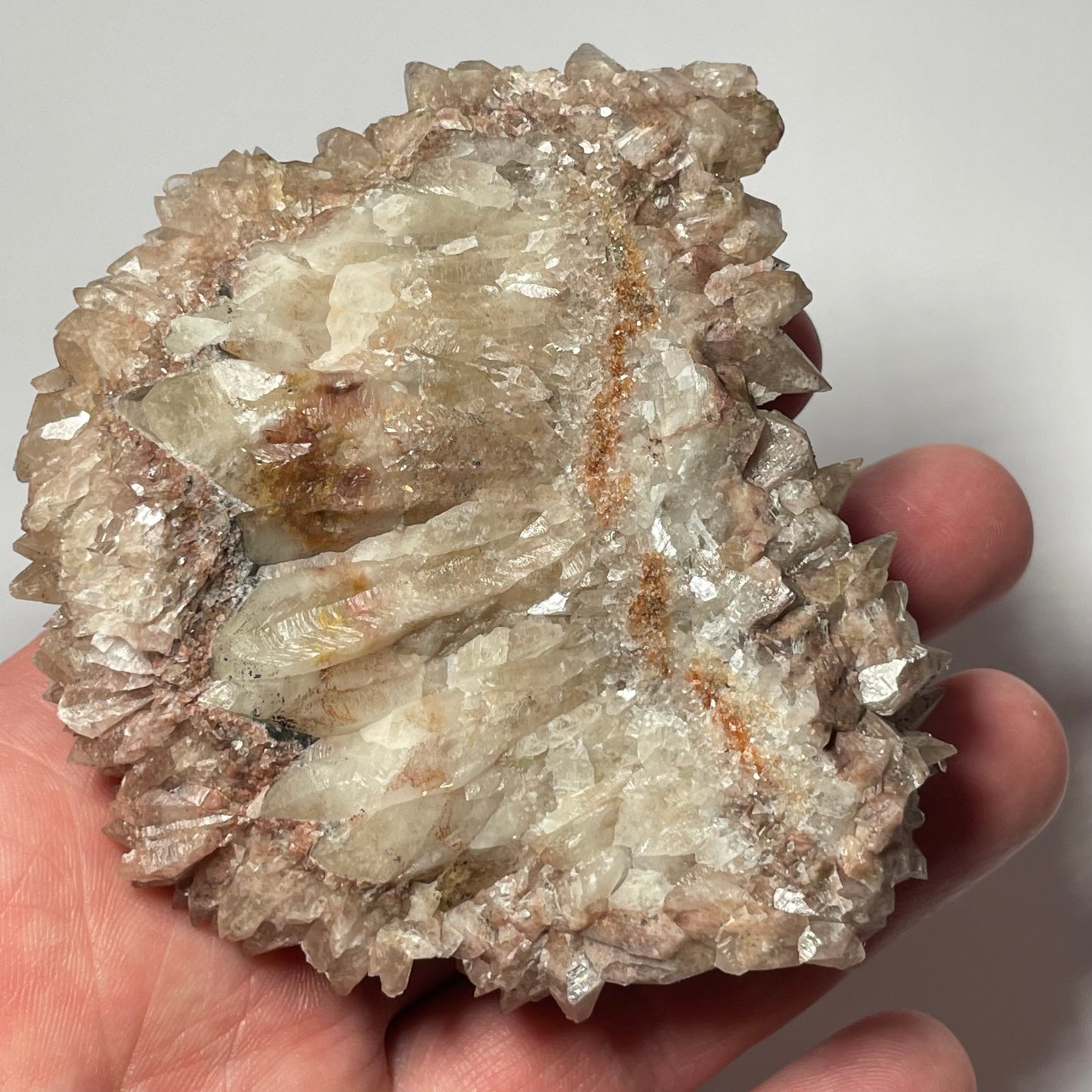 Calcite « dent de chien », Santa Eulalia, Chihuahua, Mexique