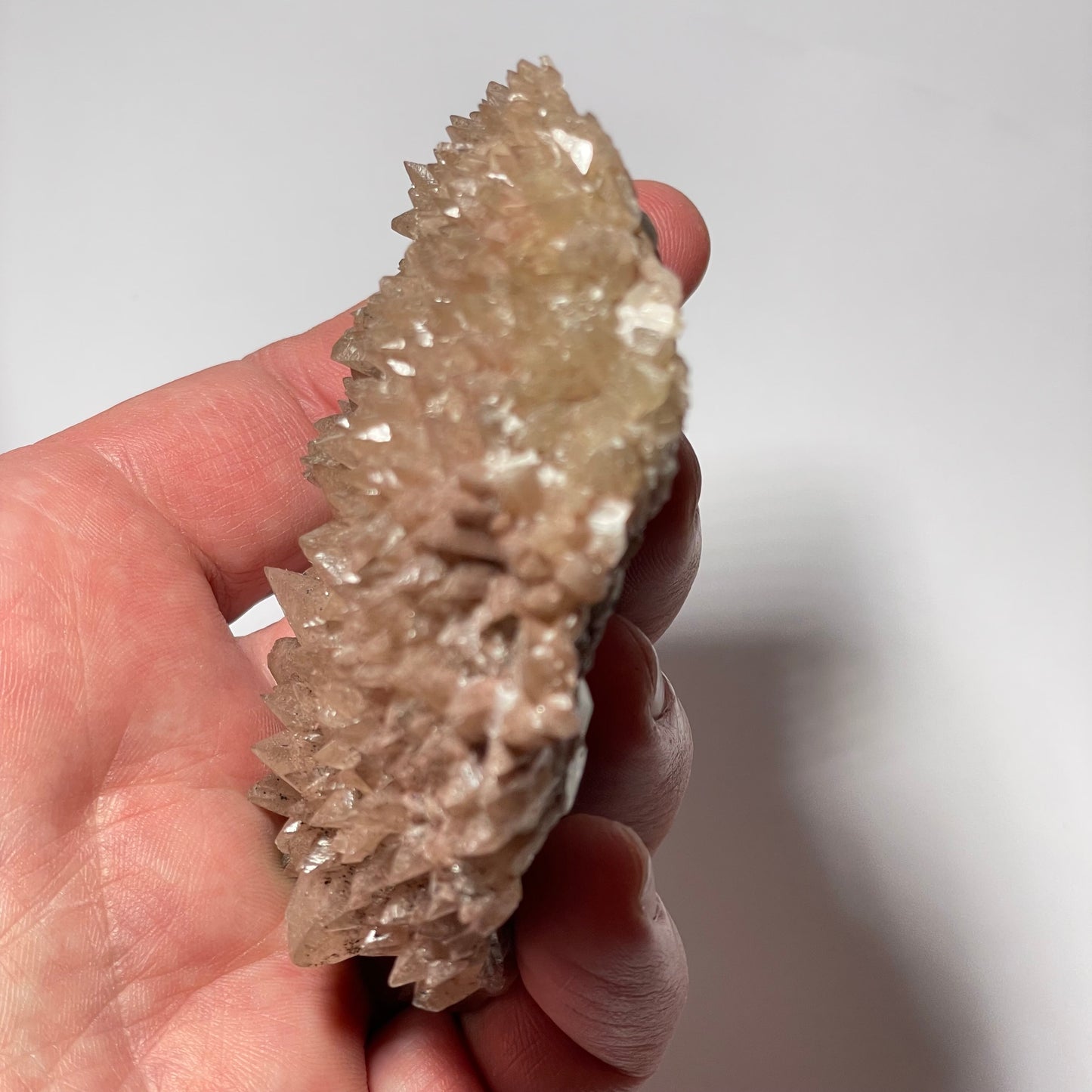 Calcite « dent de chien », Santa Eulalia, Chihuahua, Mexique