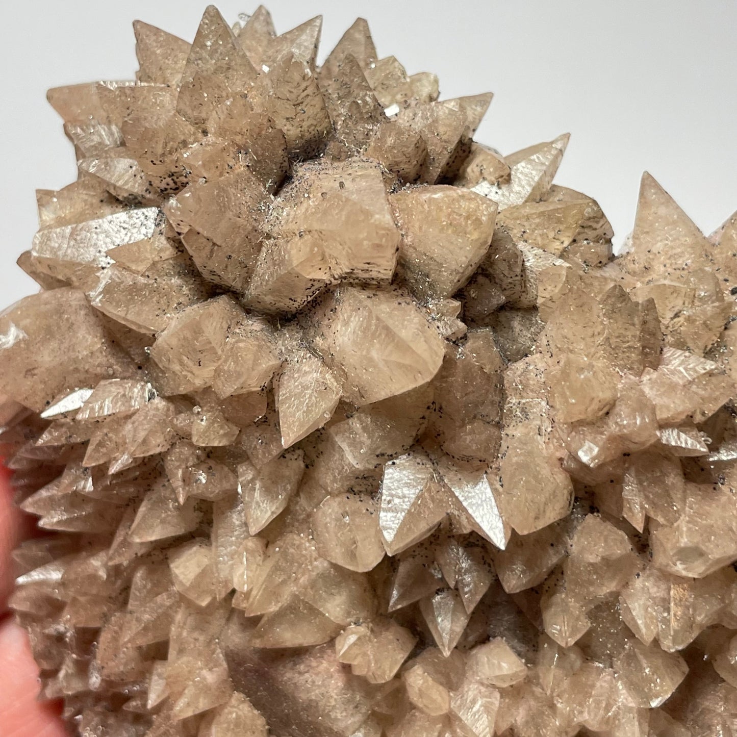 Calcite « dent de chien », Santa Eulalia, Chihuahua, Mexique