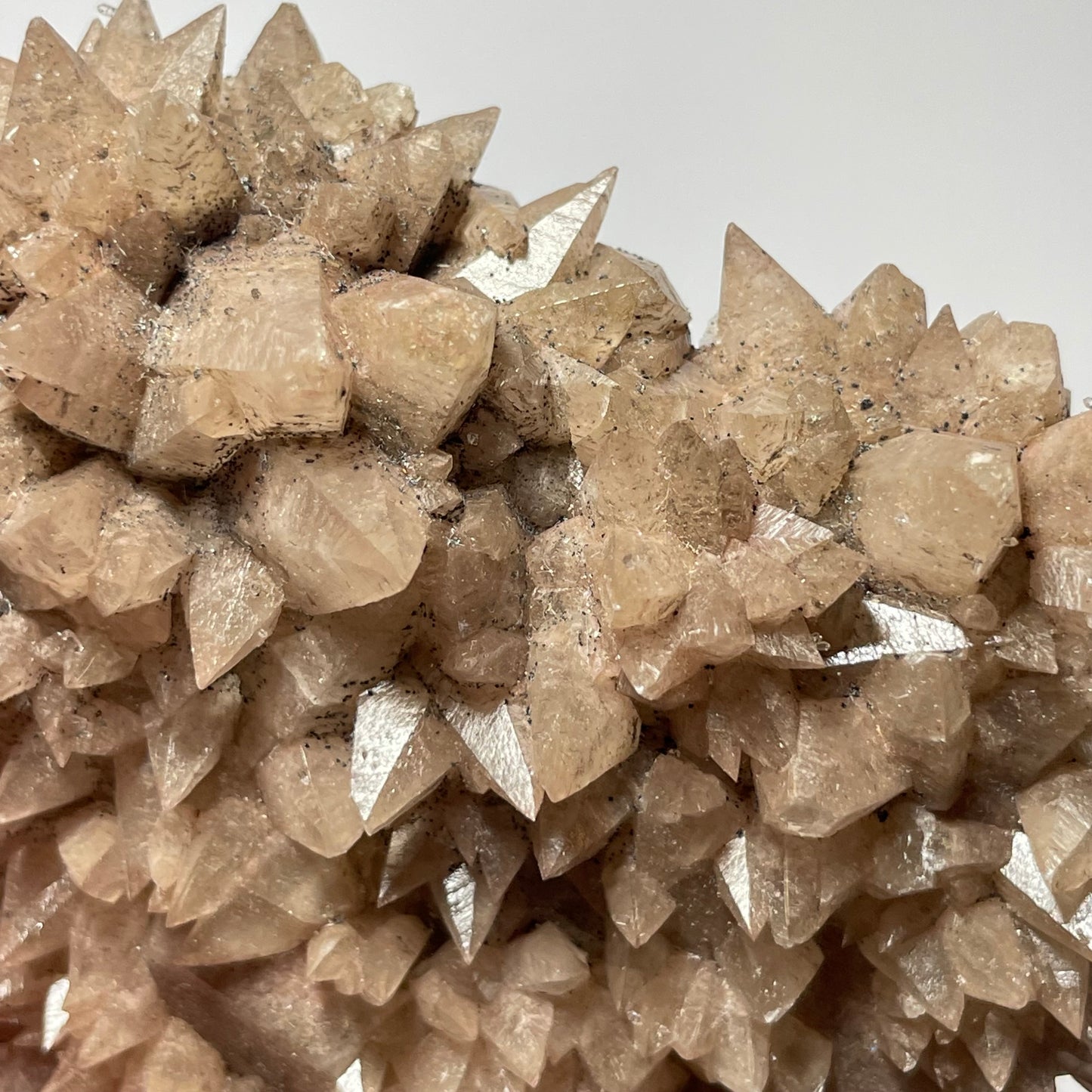 Calcite « dent de chien », Santa Eulalia, Chihuahua, Mexique
