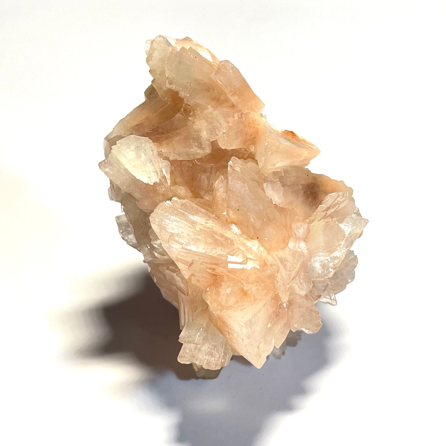 Heulandite rose, Maharashtra, Inde