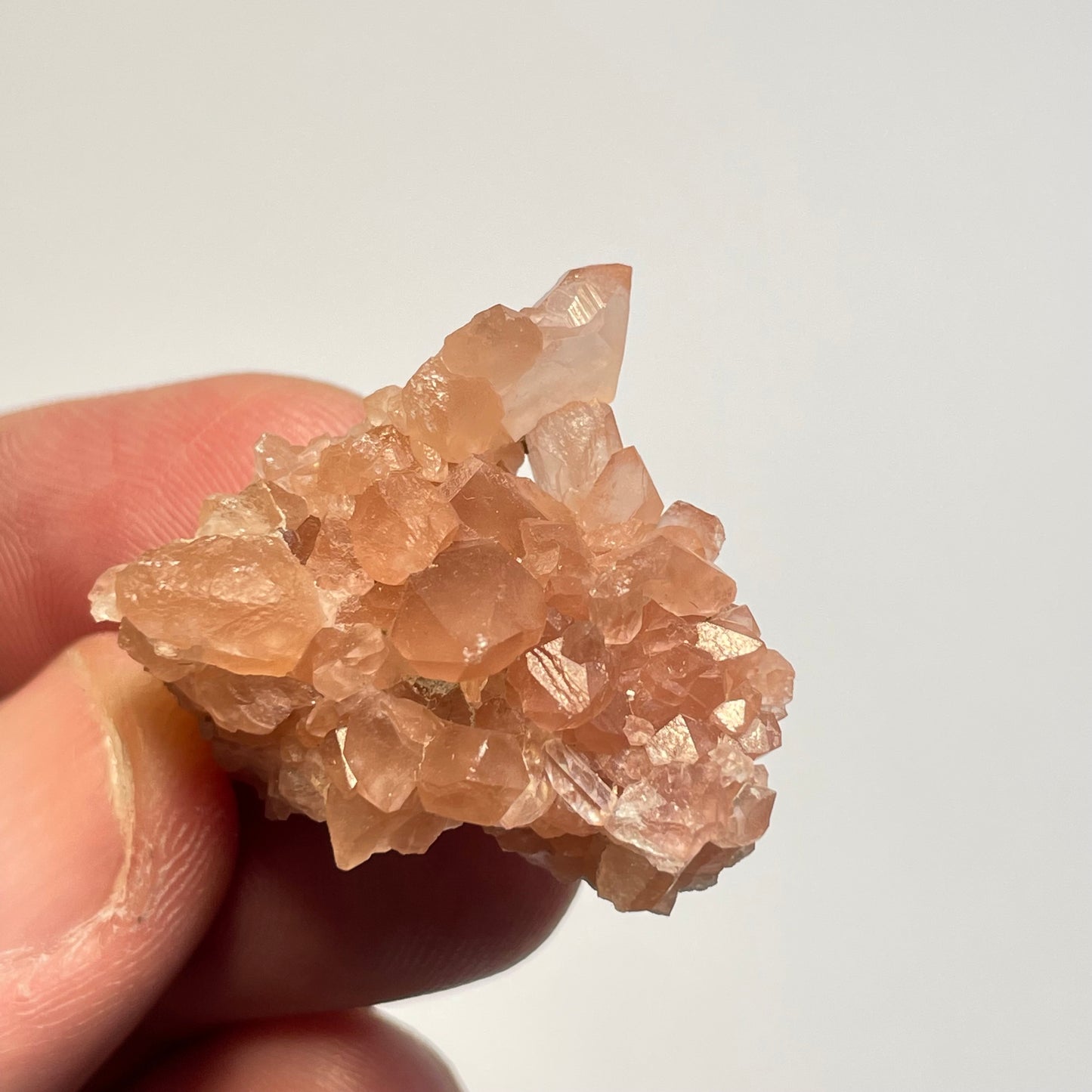 Améthyste rose, Neuquén, Argentine