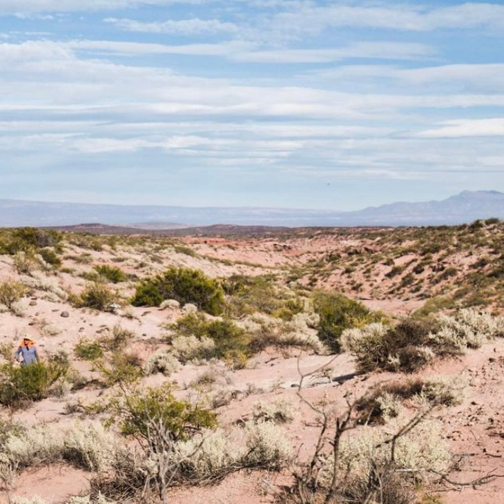 Améthyste rose, Neuquén, Argentine