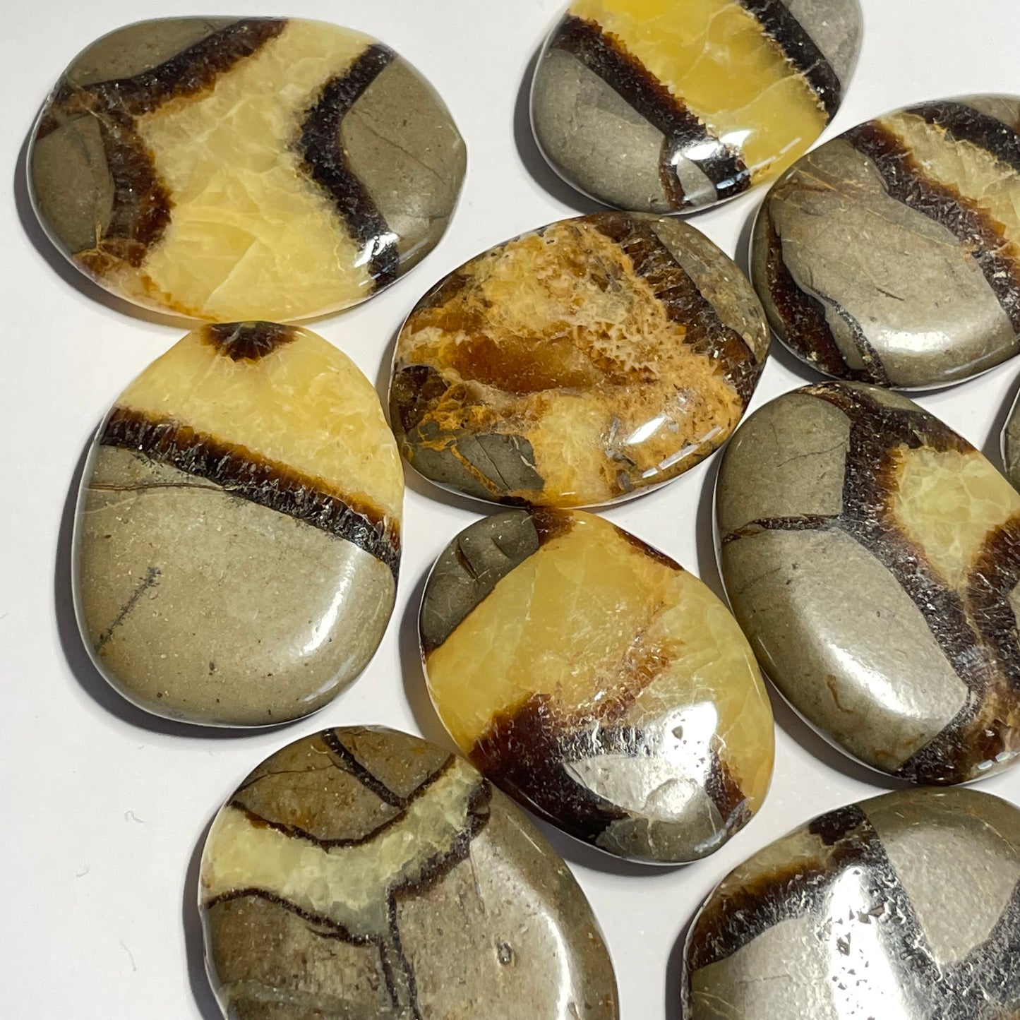 Septaria de Madagascar, galet plat