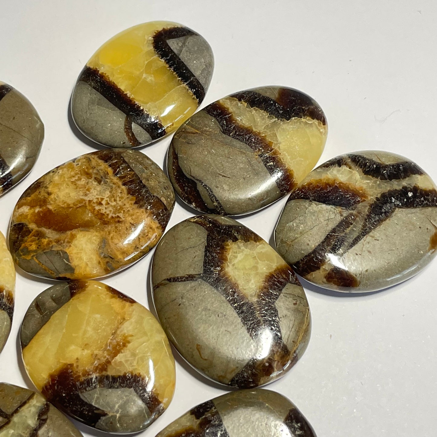 Septaria de Madagascar, galet plat