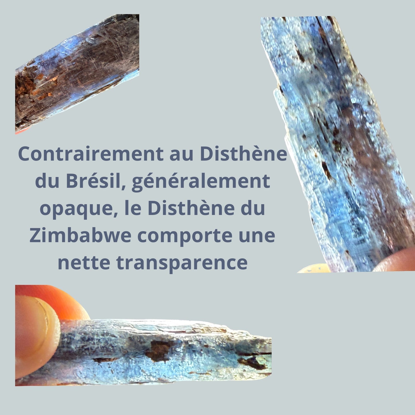 Disthène Kyanite du Zimbabwe