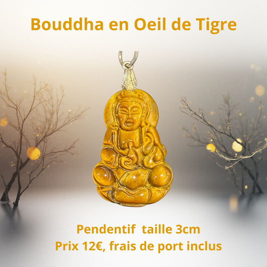 Bouddha en Œil de Tigre