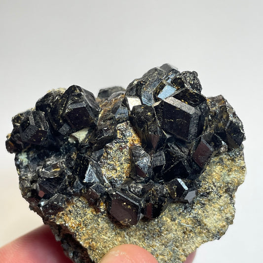 Grenat sur Pargasite, région de Kayes, Mali