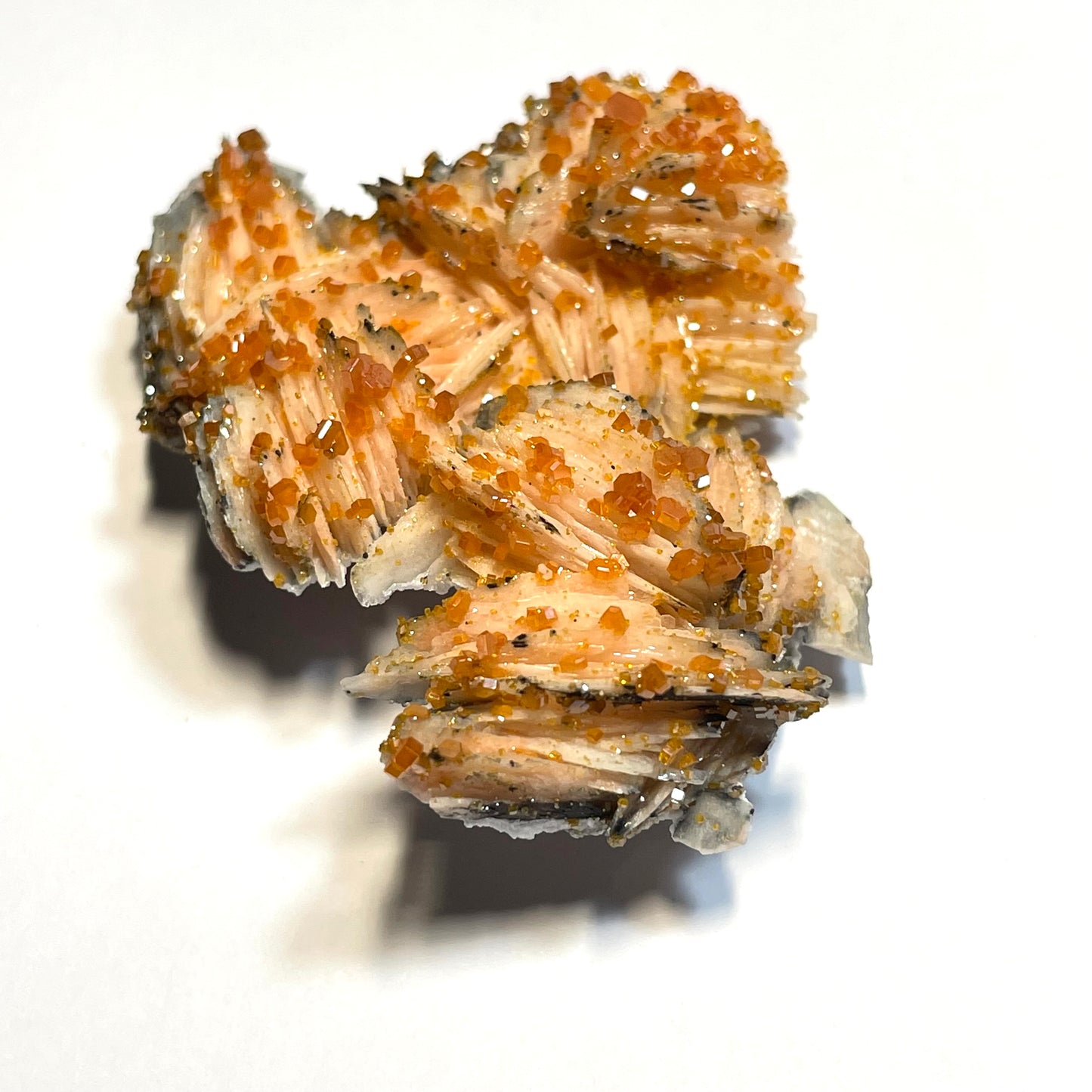 Vanadinite orange sur Barytine, Mibladen, région de Midelt, Maroc
