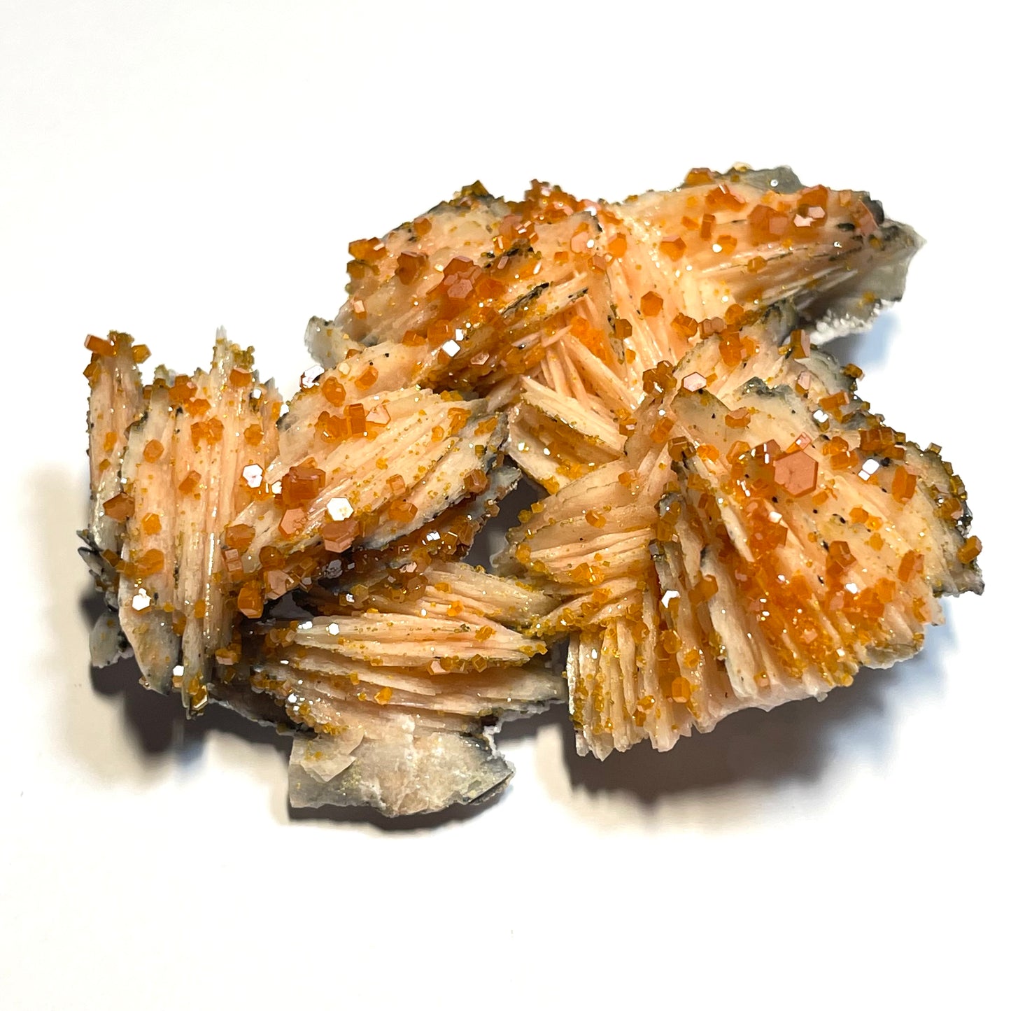 Vanadinite orange sur Barytine, Mibladen, région de Midelt, Maroc