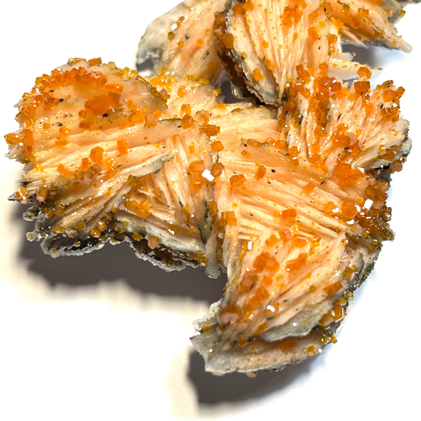 Vanadinite orange sur Barytine, Mibladen, région de Midelt, Maroc