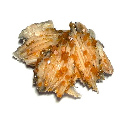 Vanadinite orange sur Barytine, Mibladen, région de Midelt, Maroc