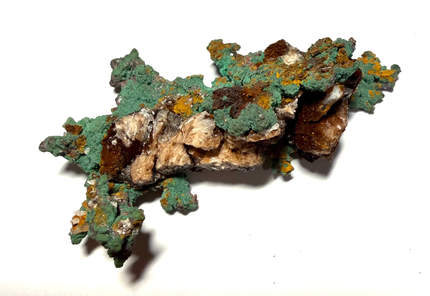 Cuivre natif, mine d’Oumjrane, Alnif, Maroc