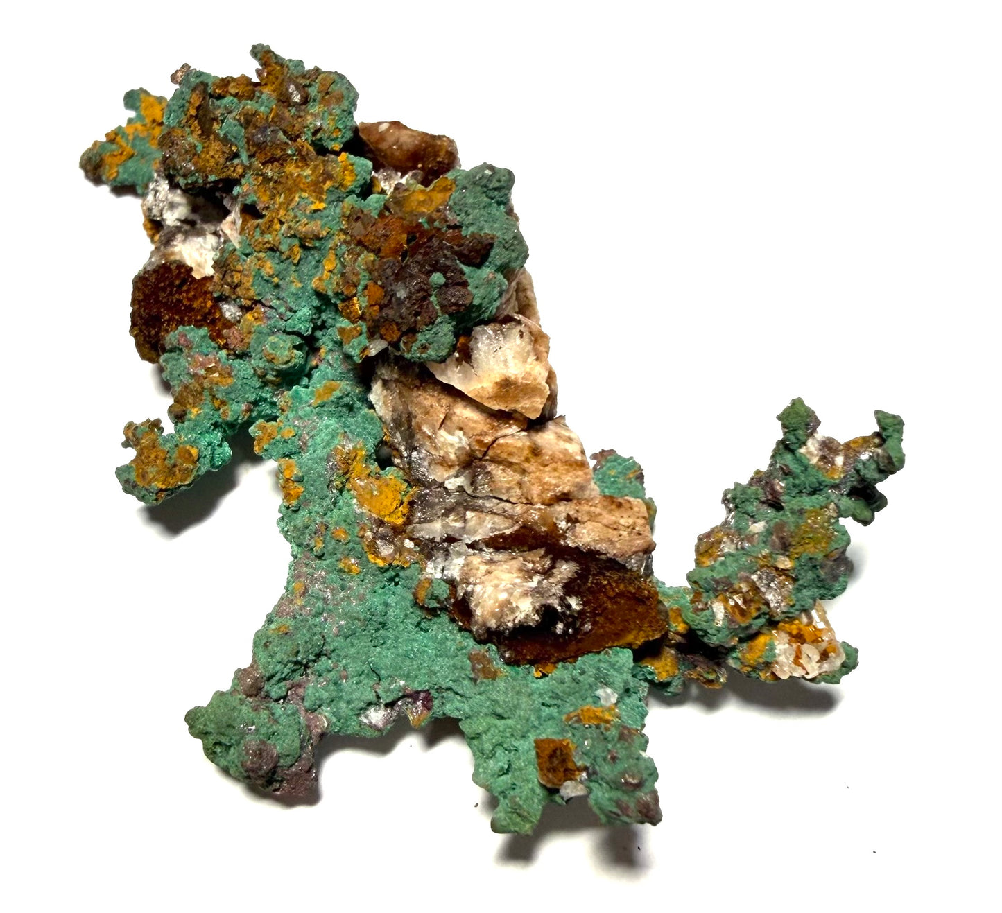 Cuivre natif, mine d’Oumjrane, Alnif, Maroc