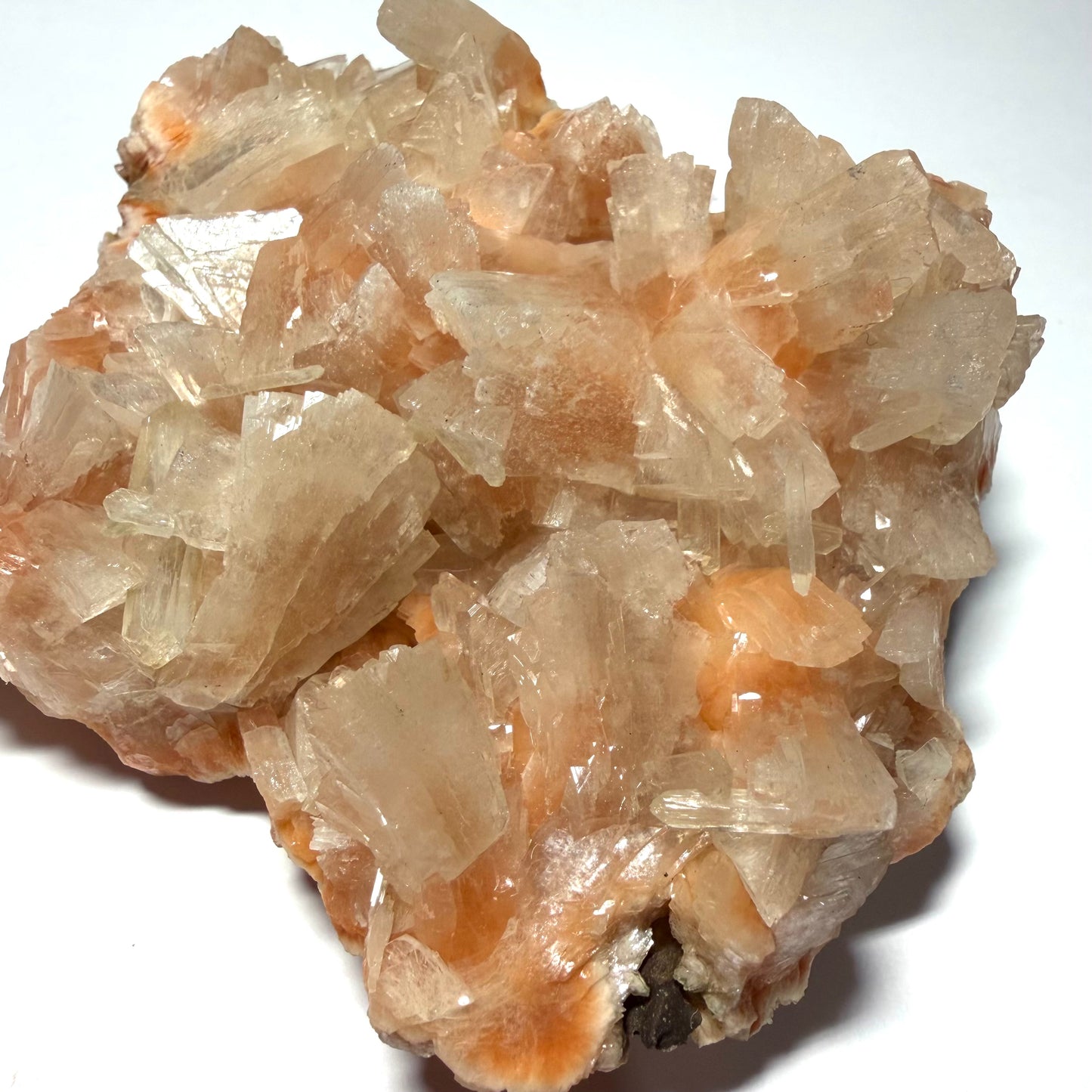 # Heulandite rose, Maharashtra, Inde  (moyenne)