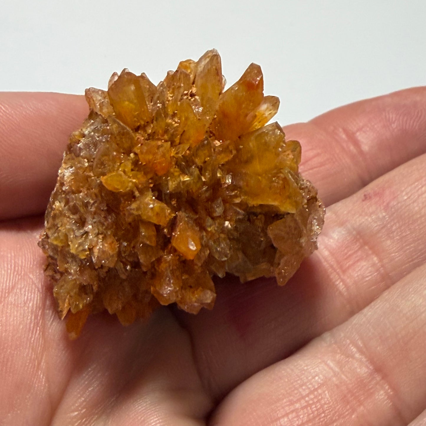 Creedite, Mine Navidad, Durango, Mexique