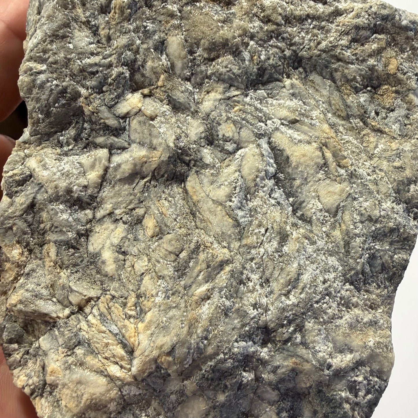 Pinolite d’Autriche