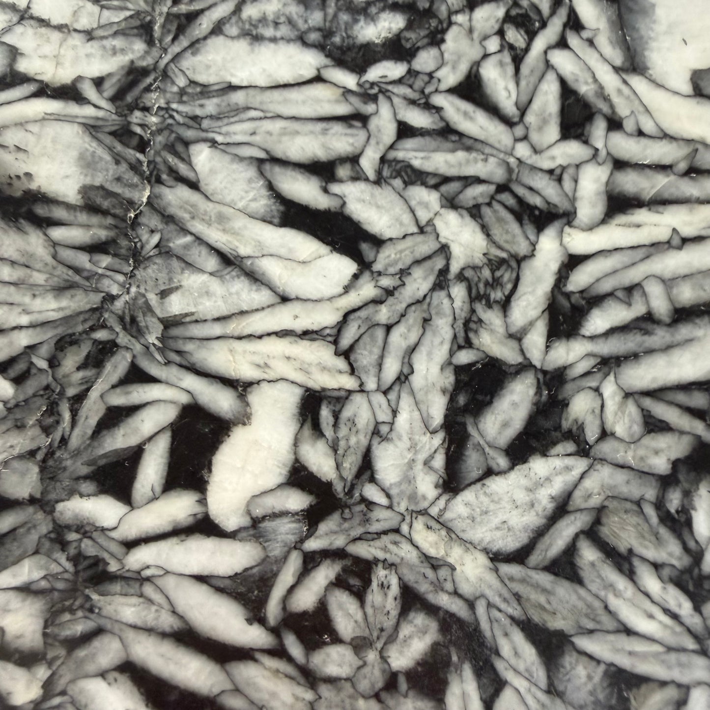 Pinolite d’Autriche