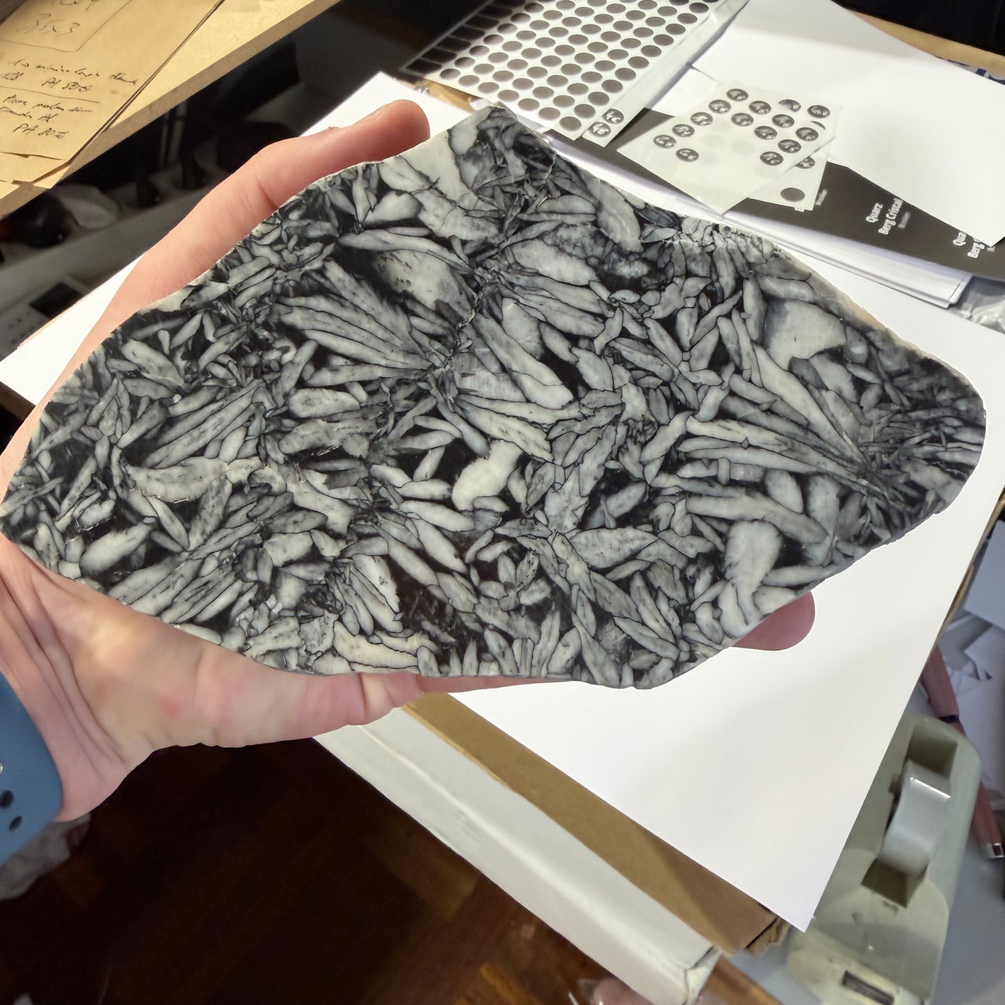 Pinolite d’Autriche